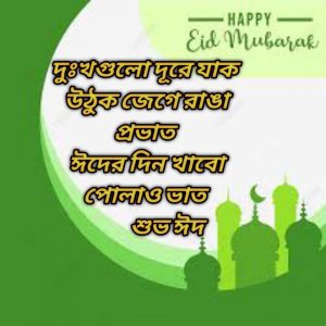 ঈদের মজার ফেসবুক স্ট্যাটাস ও মেসেজ