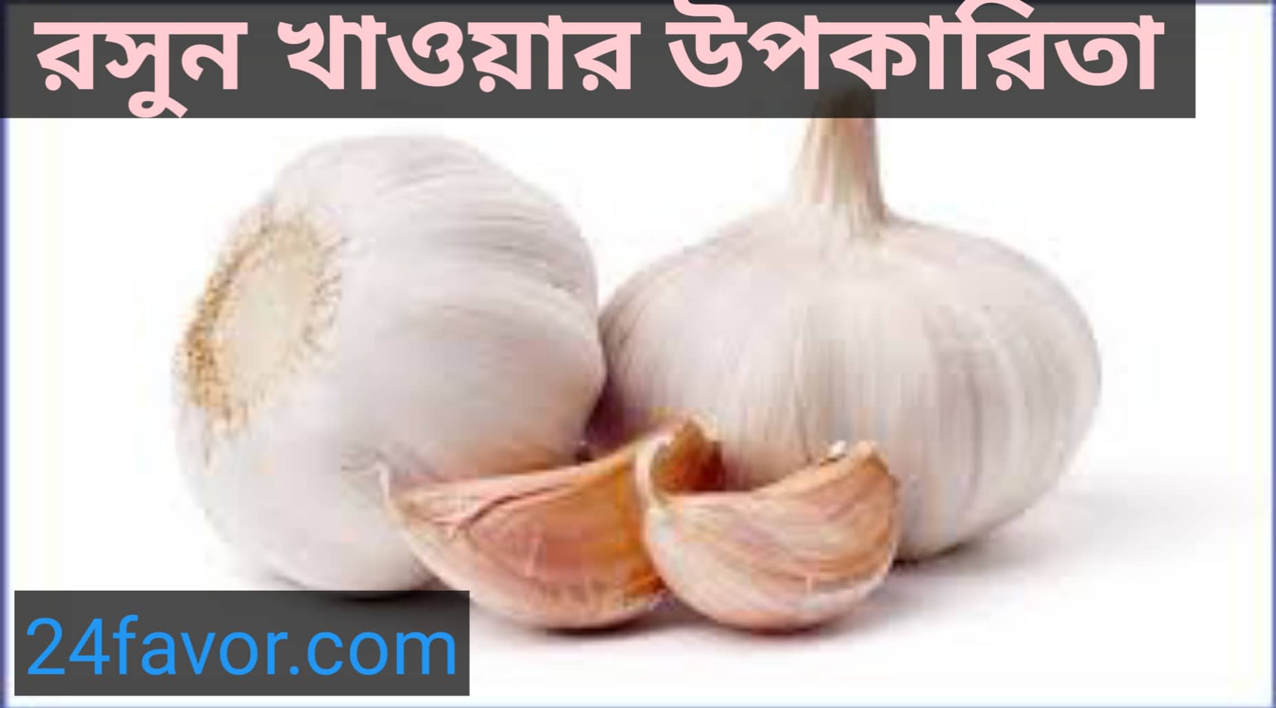 রসুনের উপকারিতা রসুন খাওয়ার নিয়ম ও কখন রসুন খেতে হয় রসুনের উপকারিতা রসুন খাওয়ার নিয়ম ও কখন রসুন খেতে হয়