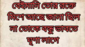 বন্ধু নিয়ে স্ট্যাটাস ছবি