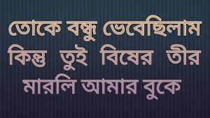 বন্ধু নিয়ে স্ট্যাটাস ছবি