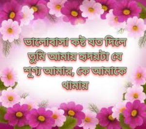 ভালোবাসার পিকচার মেসেজ