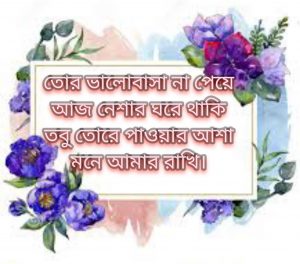 ভালোবাসার পিকচার মেসেজ