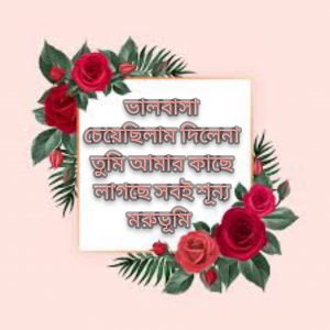ভালোবাসার পিকচার মেসেজ