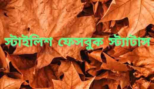 স্টাইলিষ্ট ফেসবুকস্ট্যাটাস