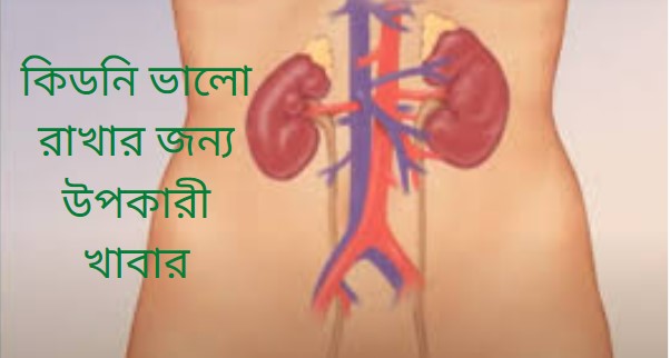 কিডনি ভালো রাখার জন্য উপকারী খাবার