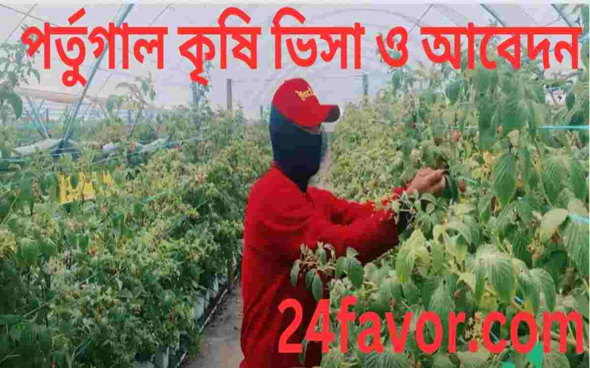পর্তুগাল কৃষি ভিসা ও আবেদন