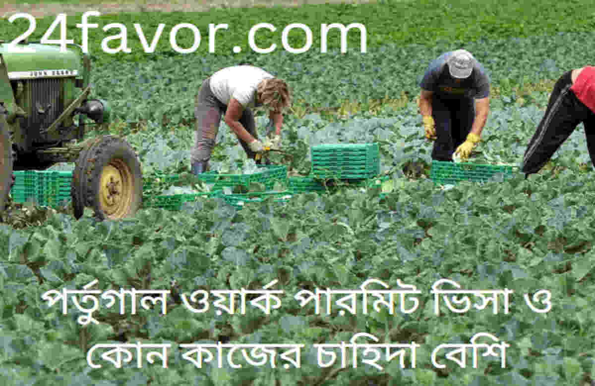 পর্তুগাল ওয়ার্ক পারমিট ভিসা ও কোন কাজের চাহিদা বেশি পর্তুগাল ওয়ার্ক পারমিট ভিসা ও কোন কাজের চাহিদা বেশি