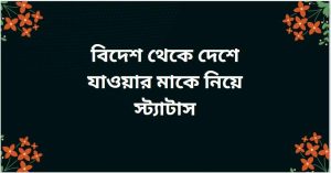 <yoastmark class=
