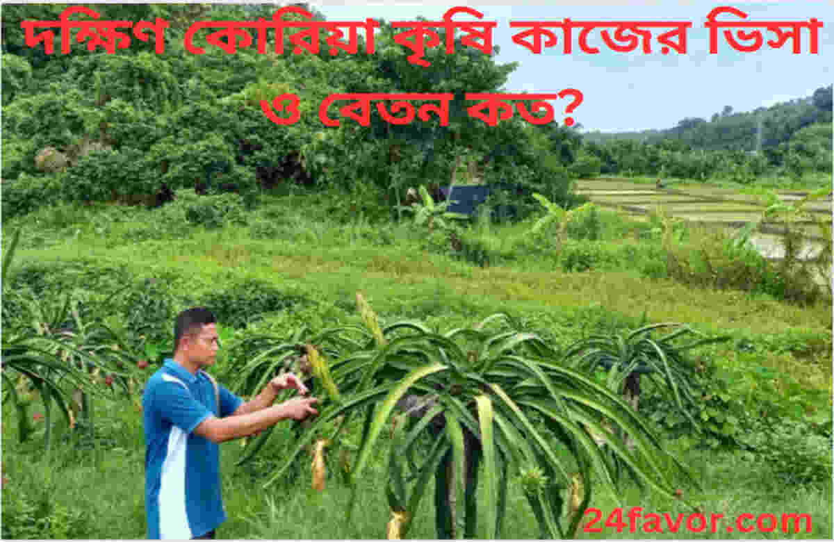 দক্ষিণ কোরিয়া কৃষি কাজের ভিসা ও বেতন কত? দক্ষিণ কোরিয়া কৃষি কাজের ভিসা ও বেতন কত?