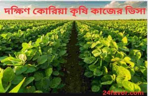 দক্ষিণ কোরিয়া কৃষি কাজের ভিসা 