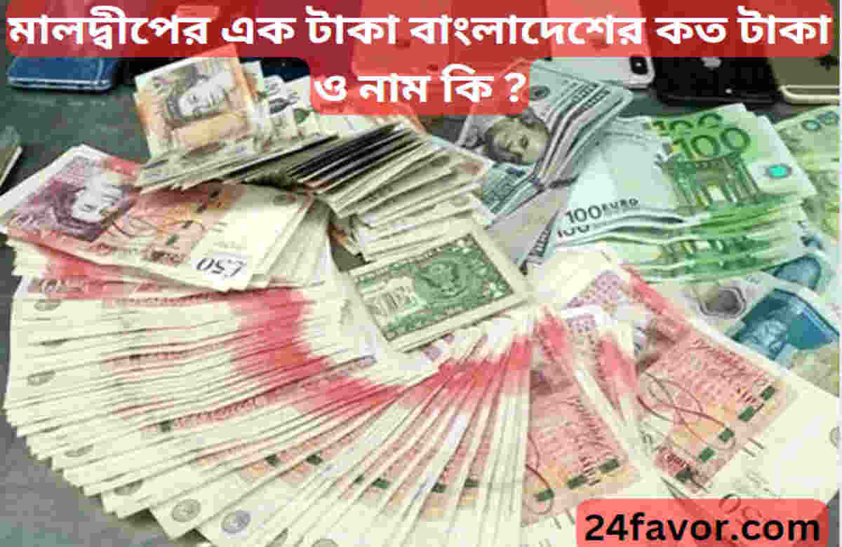 মালদ্বীপের এক টাকা বাংলাদেশের কত টাকা ও নাম কি ? মালদ্বীপের এক টাকা বাংলাদেশের কত টাকা ও নাম কি ?