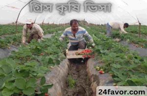গ্রিস কৃষি ভিসা