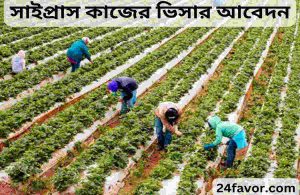 সাইপ্রাস কাজের ভিসার আবেদন