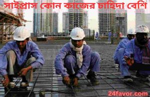 সাইপ্রাস কোন কাজের চাহিদা বেশি