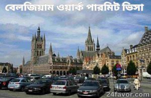 বেলজিয়াম ওয়ার্ক পারমিট ভিসা